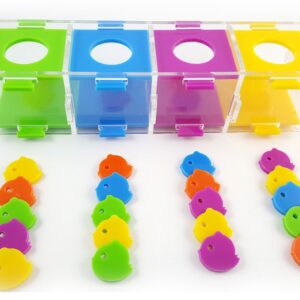 JUGUETE PARROT COLOR TRAINIG BS-41