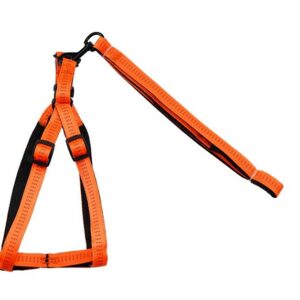 CONJUNTO ARNÈS NYLON 3 CAPAS M:2.0*120 CL-D25 M