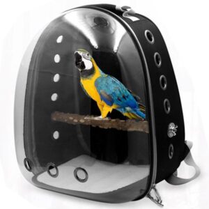 TRANSPORTIN TRANSPARENTE AVES 42*41*28cm