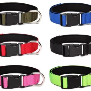 COLLAR NYLON ACOLCHADO TALLA L:2.5*40-45 CL-D02 L