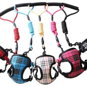 CONJUNTO ARNÈS NYLON 38-56 cm CL-D14 M