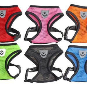 CONJUNTO ARNÈS REJA 46 cm CL-D15 L