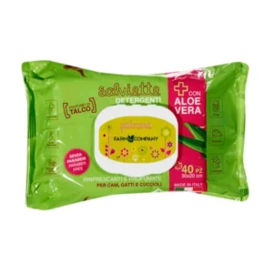TOALLITA ALOE VERA 40pz