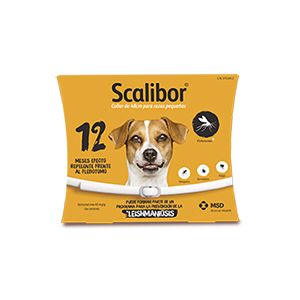 SCALIBOR COLLAR PEQ 48CM