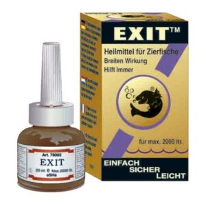 EXIT PUNTO BLANCO