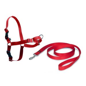 EASY WALK ARNES MEDIANO ROJO